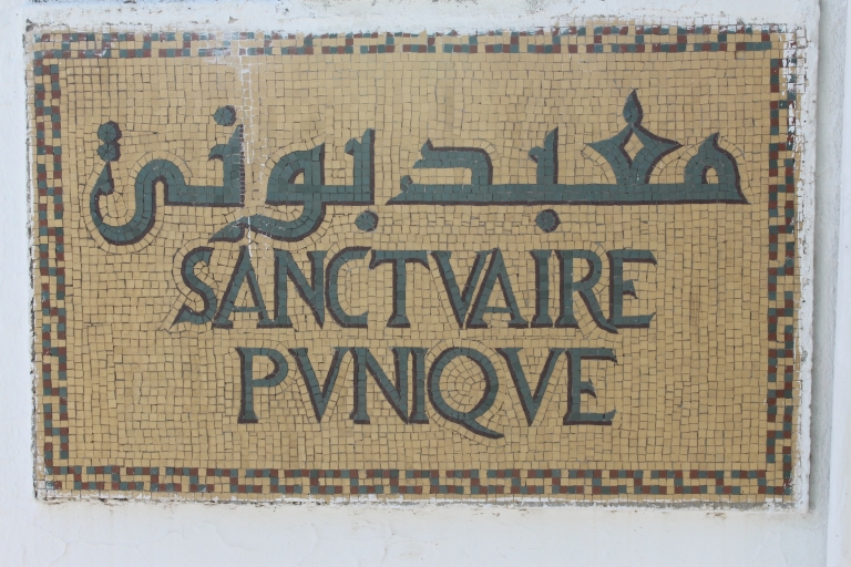 Gouvernement Tunis: dagtourHele dag met pick-up van Hammamet en Sousse (extra kosten)