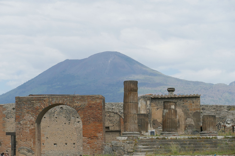 Pompeya: visita combinada guiada de día completo a las ruinas y al Vesubio