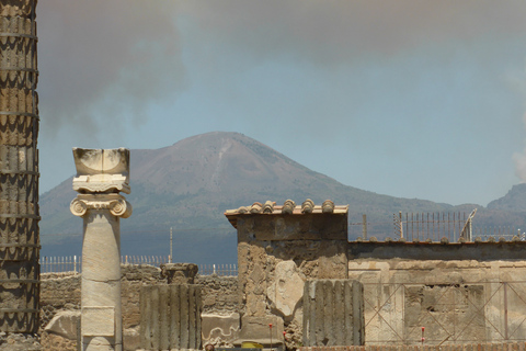 Pompeii: ruïnes en Vesuvius-dagtour met gids