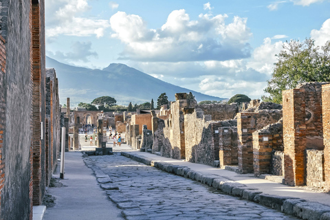 Pompeii: ruïnes en Vesuvius-dagtour met gids