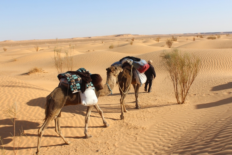 Desierto del Sáhara: Excursión de 2 días con comida y noche en tienda de campaña