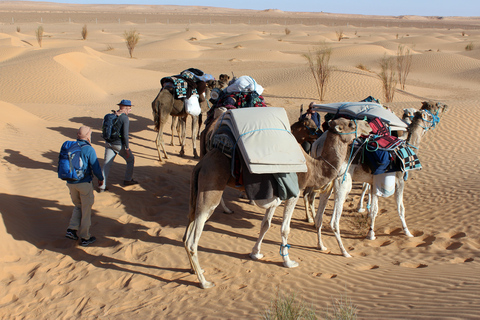 Désert du Sahara : circuit de 2 jours avec nourriture et nuit sous tente