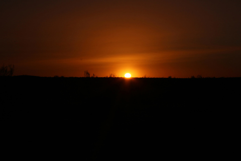 Ksar Ghilane : chameau, baignade, dunes et coucher de soleil