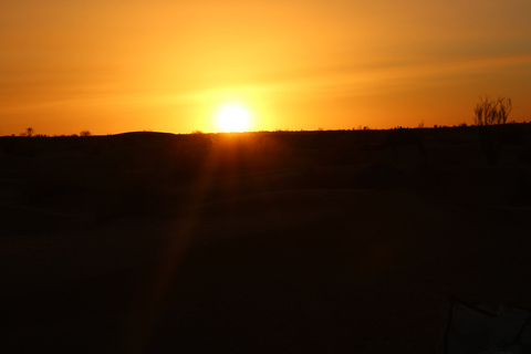 Ksar Ghilane : chameau, baignade, dunes et coucher de soleil