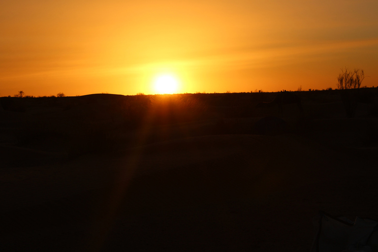 Ksar Ghilane Oasis: Camel Ride, Swim &amp; Sunset on the Dunes