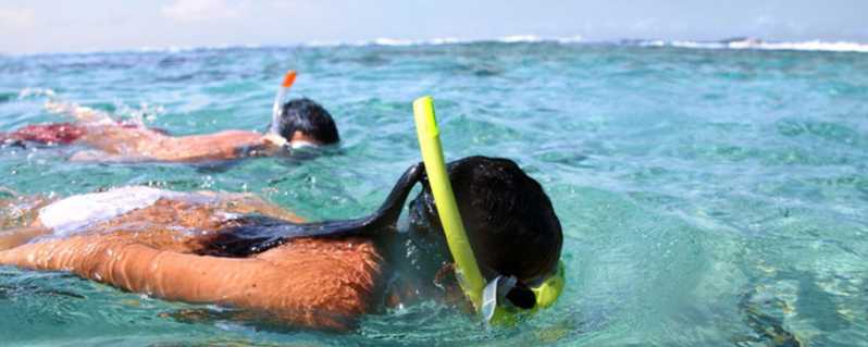 Panama City Beach: Snorkeling Trip by Boat | GetYourGuide