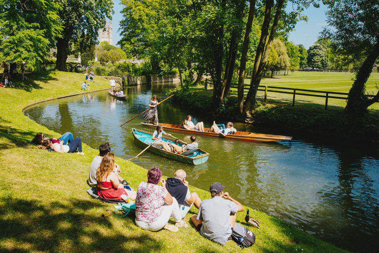 Excursion d'une journée à Oxford au départ de Londres : visite de la ville, collèges et déjeuner