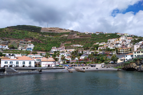 From Funchal: Cabo Girão &amp; Poncha Tasting by Classic VWCabo Girão &amp; Poncha Tasting by Classic VW Beetle