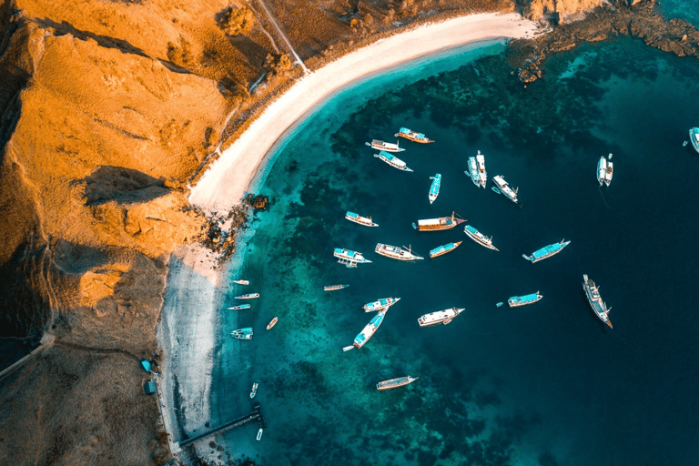 Komodo Inseln: 2D1N Speedboat Tour und Hotelaufenthalt