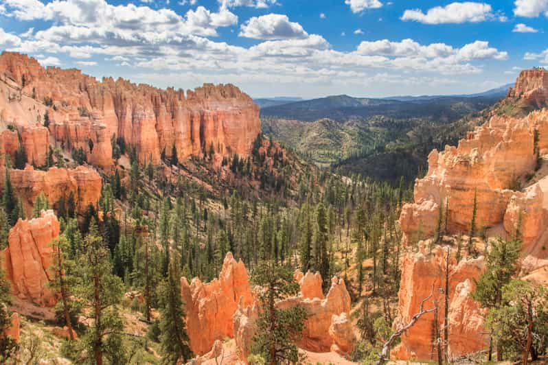 Bryce Canyon National Park SelfGuided Driving Tour GetYourGuide