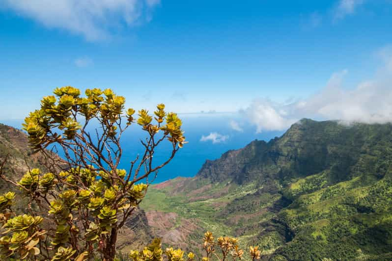 Kauai: Øens højdepunkter - selvledende audio-kørselstur med guide  GetYourGuide