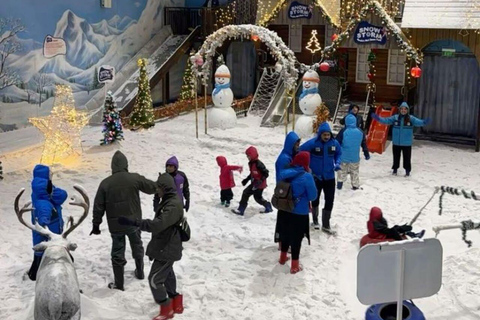 Riyadh Snow City: Inclusive 3-Hour Entry with Gear Provided