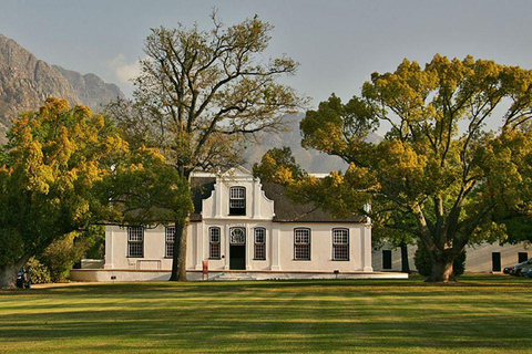 Cape Wineland 3 Award Winning Vineyards