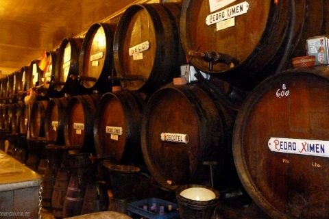 Malaga: Markt- und Weingutstour mit TapasMalaga: Zentralmarkttour und Weingut mit Tapas-Verkostung