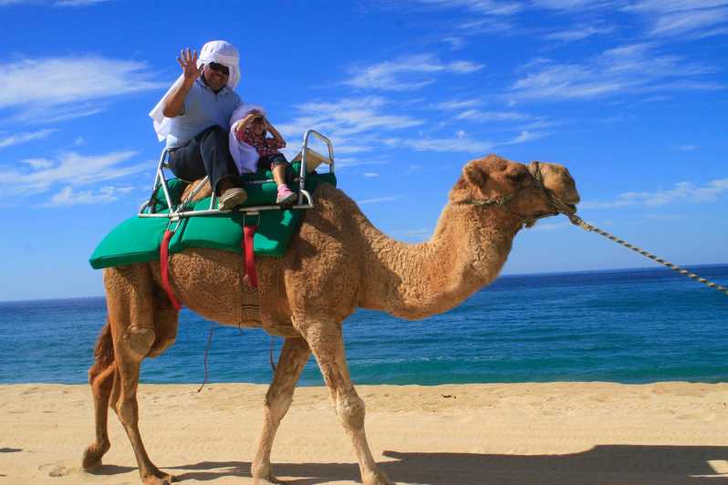 los cabos camel tour
