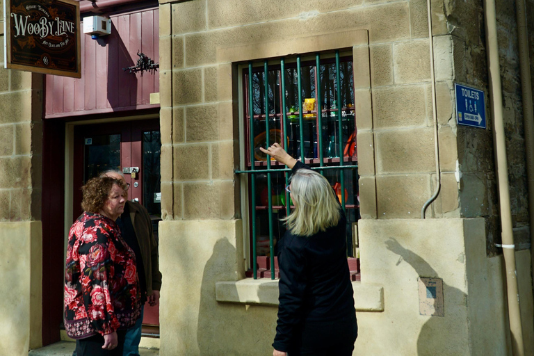 Hobart: passeio privado pela cidade com Monte Wellington e chá