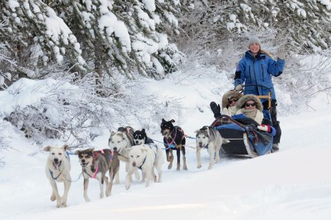 Canmore: Unleash the Musher 2-Hour Dog Sled Tour