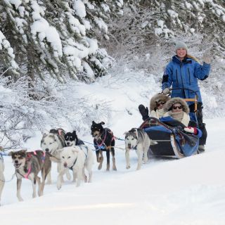 Canmore: Unleash the Musher 2-Hour Dog Sled Tour