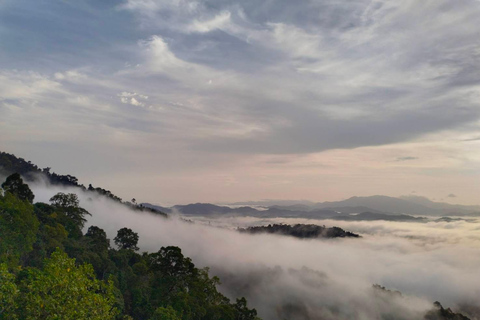 Khao Lak : Mer de brouillard sur une colline avec HomeStay One Night