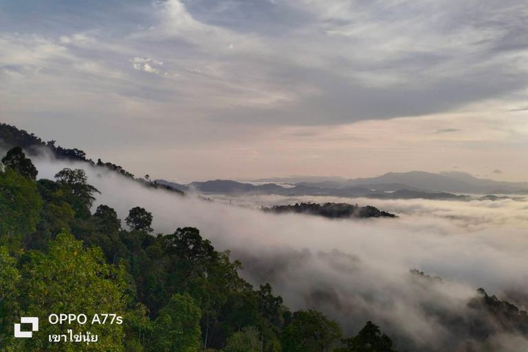 Khao Lak : Mer de brouillard sur une colline avec HomeStay One Night