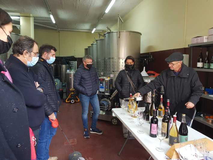 Salou: Priorat Wine-Cellar Tour with Wine Tasting