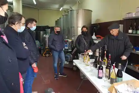Salou: Priorat tasting Wine-Cellar Tour with hotel pickup