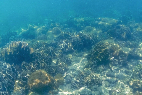 Hong Kong Sai Kung Full Day Snorkelling and Beach Yacht Tour