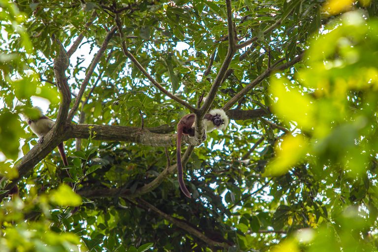 Cartagena: Guided Hiking Tour Cartagena: Guided Hiking Day Trip