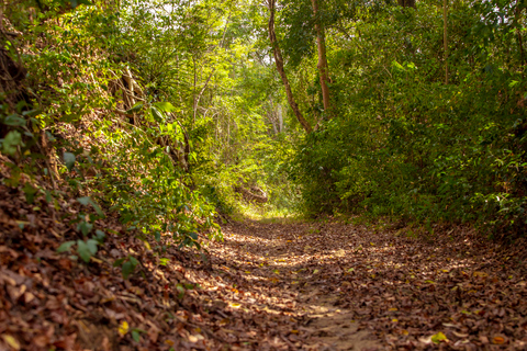 Cartagena: Geführte WanderungCartagena: Geführte Wanderung Tour