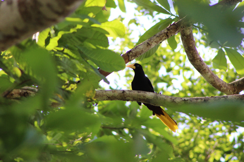 Cartagena: Wandeltocht met gids