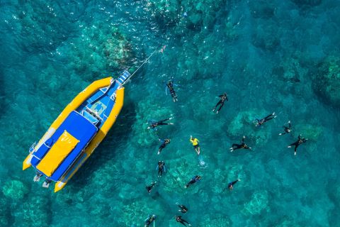 Whitsundays: Ozean-Rafting-Tour mit Schnorcheln & Rundflug