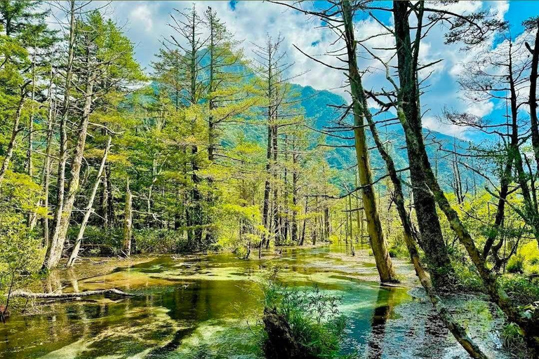 Kamikochi Day Tour from Nagoya: Discover the Pristine Valley