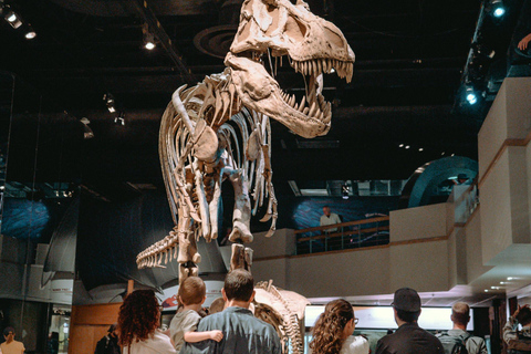 Banff : Visite privée des Badlands avec le musée Royal Tyrrell
