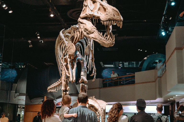 Banff : Visite privée des Badlands avec le musée Royal Tyrrell