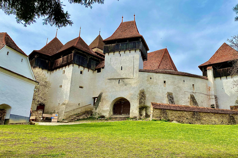 Brasov: Historic Gems Sighișoara, Rupea and Viscri Day Tour BRASOV: Historic Gems Sighișoara, Rupea and Viscri Day Tour