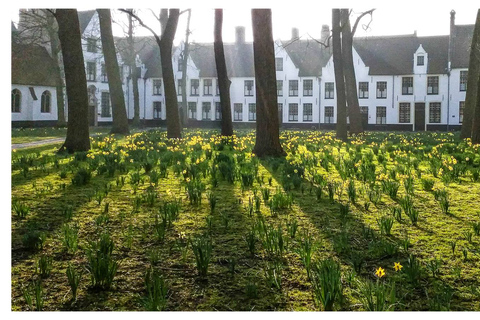 Bruges Uncovered: Walking Tour & Canal Boat Experience Walking tour in English