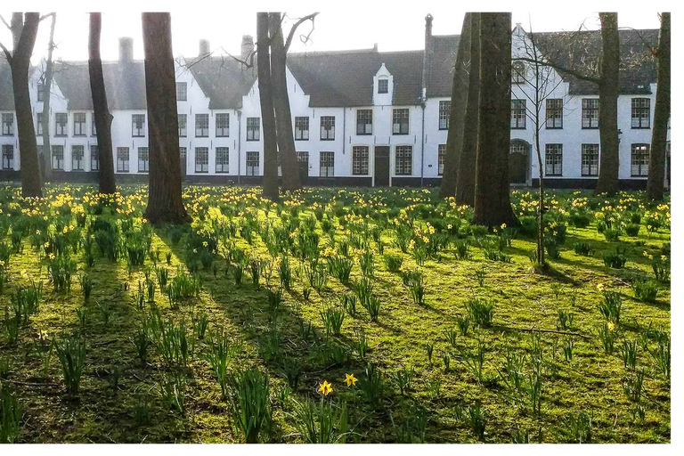 Bruges Uncovered: Walking Tour & Canal Boat Experience Walking tour in English