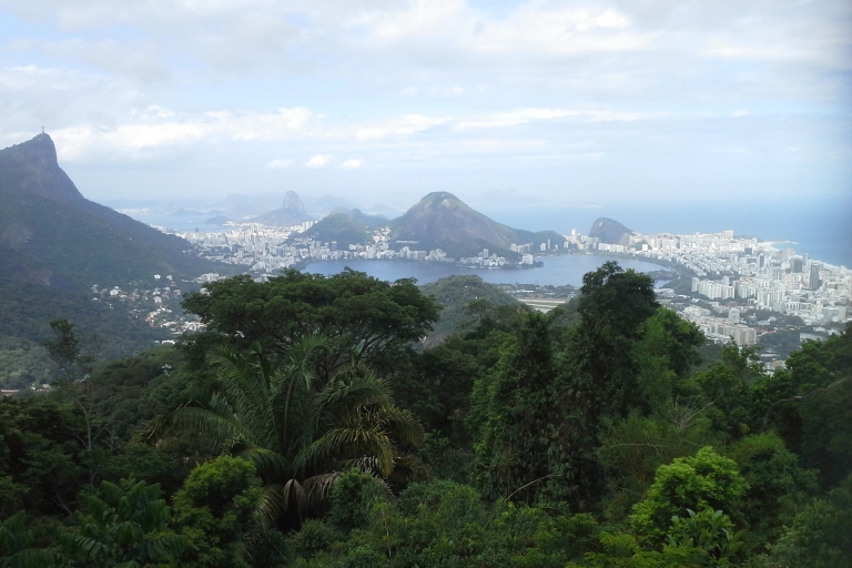 Rio de Janeiro : visite guidée de la forêt de Tijuca et du jardin botanique