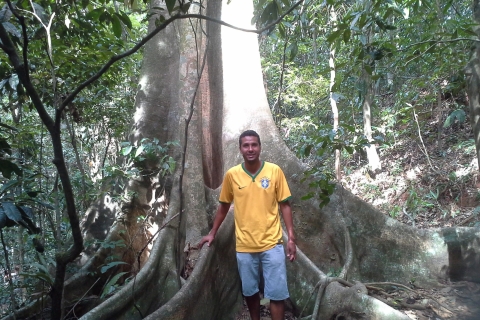 Rio de Janeiro: Tijuca Forest & Botanical Garden Guided Tour