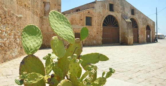 From Catania: Syracuse, Ortigia & Marzamemi Full-day Tour