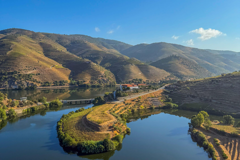 Douro Valley: Wine & Olive Oil Tour with Boat & Lunch Douro Valley: 2 Wineries, Boat Cruise & Traditional Lunch