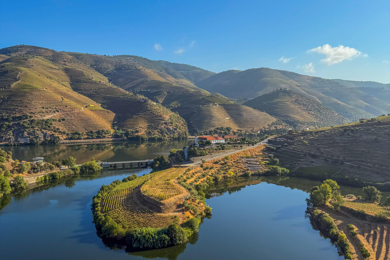 Douro Valley: Wine & Olive Oil Tour with Boat & Lunch Douro Valley: 2 Wineries, Boat Cruise & Traditional Lunch
