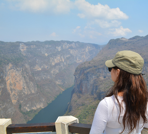 Day trips