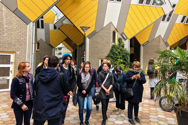 Your Own Holland. Rotterdam: Travel to the Future Private Walking Tour in Rotterdam with Intern