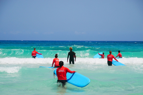 Aprende a surfear en el norte de FuerteventuraCurso de surf para principiantes de 1 día 4 horas