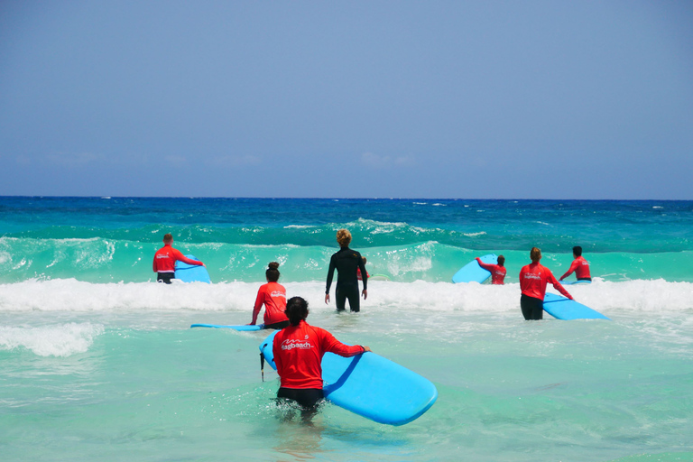 Impara a fare surf nel nord di Fuerteventura!Corso di surf per principianti di 1 giorno 4 ore