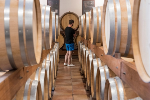 Au départ d'Avignon : vins de Châteauneuf du Pape et LuberonAu départ d'Avignon : Circuit Châteauneuf du Pape et Luberon avec vin