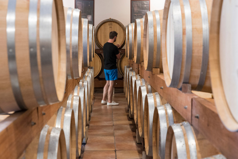 Von Avignon aus: Châteauneuf du Pape Weine & LuberonAb Avignon: Châteauneuf du Pape und Luberon Tour mit Wein