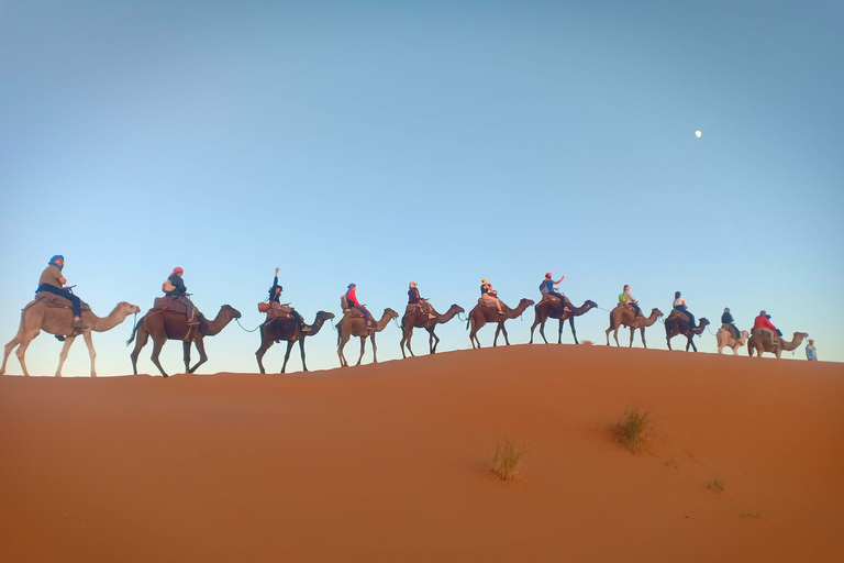 Excursão de 4 dias pelo deserto, de Marrakech às dunas de MerzougaOpção padrão