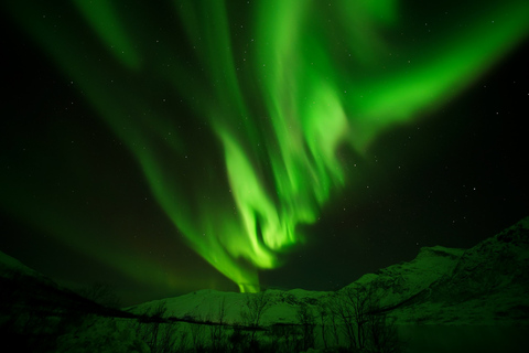 Tromsø: Tour dell&#039;aurora boreale con ritratto professionale gratuito